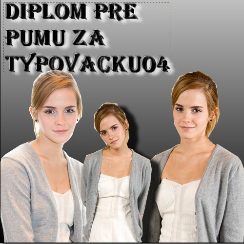 diplom pre pumu10.jpg